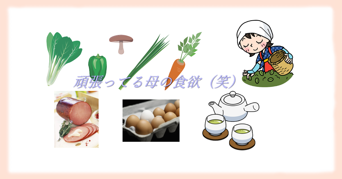 小松菜、ピーマン、椎茸、ネギ、ニンジン、ハム、卵と、茶摘み娘、急須、お茶のイラスト。